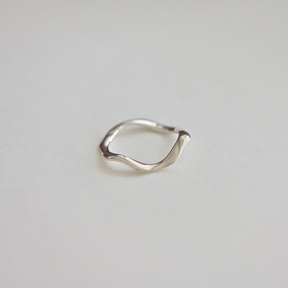 925 silver fly ring_KWAJE129