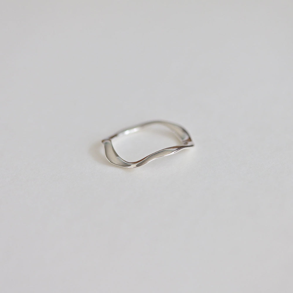 925 silver fly ring_KWAJE129